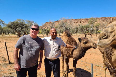 West MacDonnell Ranges Half-Day Small-Group Tour With Camel Ride - Northern Rivers Accommodation 1