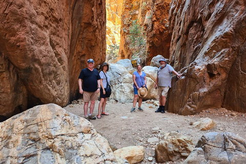 West MacDonnell Ranges Half-Day Small-Group Tour With Camel Ride - Northern Rivers Accommodation 4