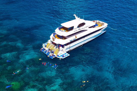 Great Barrier Reef Snorkeling And Diving Cruise From Cairns - Northern Rivers Accommodation 5