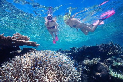 Great Barrier Reef Scenic Helicopter Tour And Cruise From Cairns - Northern Rivers Accommodation 3