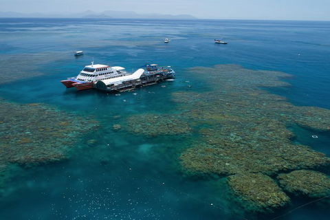 Cruise To Moore Reef Pontoon And Return Helicopter Flight From Cairns - Northern Rivers Accommodation 0