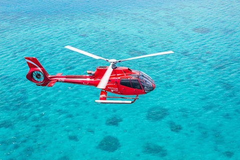 Cruise To Moore Reef Pontoon And Return Helicopter Flight From Cairns - Northern Rivers Accommodation 1