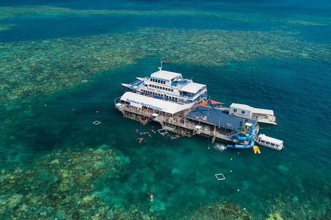 Cruise To Moore Reef Pontoon And Return Helicopter Flight From Cairns - Northern Rivers Accommodation 2