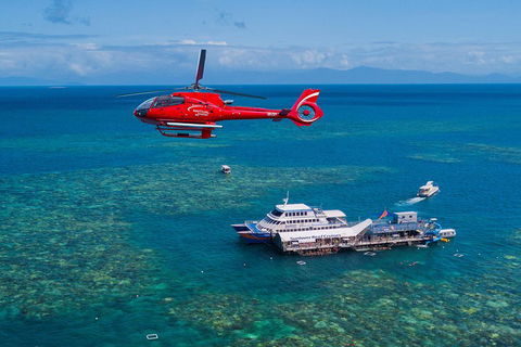Cruise To Moore Reef Pontoon And Return Helicopter Flight From Cairns - Northern Rivers Accommodation 4