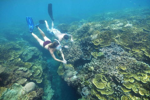 Scenic Helicopter Flight To Moore Reef And Return Snorkeling Cruise From Cairns - Northern Rivers Accommodation 1