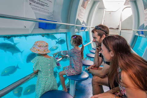 Scenic Helicopter Flight To Moore Reef And Return Snorkeling Cruise From Cairns - Northern Rivers Accommodation 3