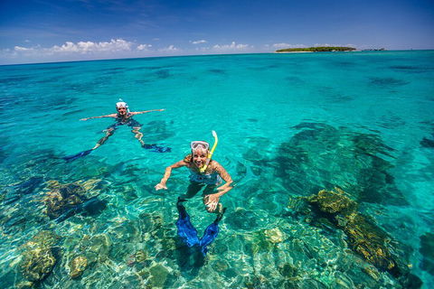 Fly To Green Island - Cruise Return - Northern Rivers Accommodation 4