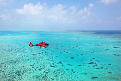 Great Barrier Reef 30-Minute Scenic Helicopter Tour From Cairns - Northern Rivers Accommodation 2
