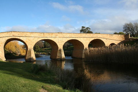 Mt. Wellington, Bonorong And Richmond Day Tour From Hobart - Northern Rivers Accommodation 4