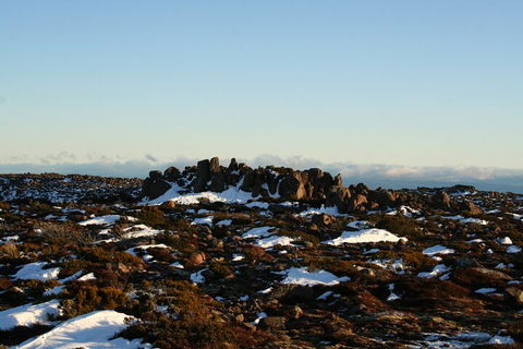 Mt. Wellington, Bonorong And Richmond Day Tour From Hobart - Northern Rivers Accommodation 5