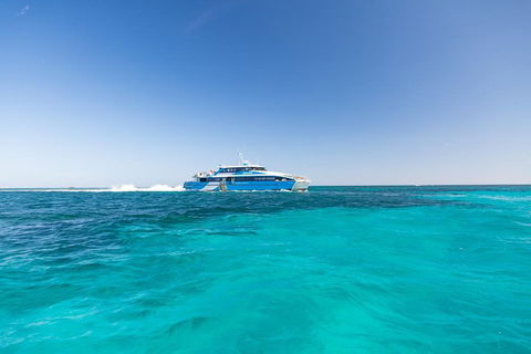 Rottnest Island Bike & Ferry Package From Fremantle - Northern Rivers Accommodation 0