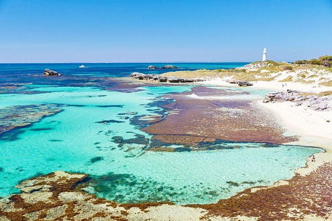 Rottnest Island Bike & Ferry Package From Fremantle - Northern Rivers Accommodation 5