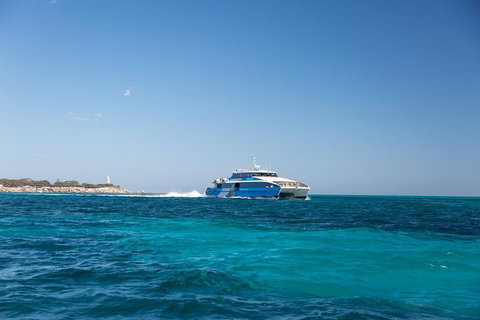 Rottnest Island Bike & Ferry Package From Perth - Northern Rivers Accommodation 2