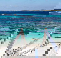 Perth to Rottnest Island Roundtrip Ferry Ticket - Northern Rivers Accommodation