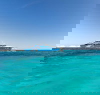 Rottnest Island Bayseeker Day Trip from Perth - Northern Rivers Accommodation