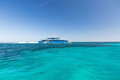 Rottnest Island Bayseeker Day Trip From Perth - Northern Rivers Accommodation 0