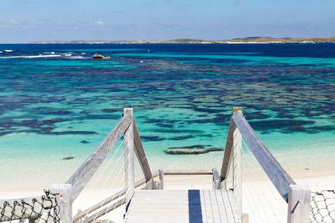 Rottnest Island Bayseeker Day Trip From Perth - Northern Rivers Accommodation 3
