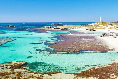 Rottnest Island Bayseeker Day Trip From Perth - Northern Rivers Accommodation 4