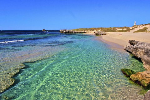 Rottnest Island Bayseeker Day Trip From Perth - Northern Rivers Accommodation 5