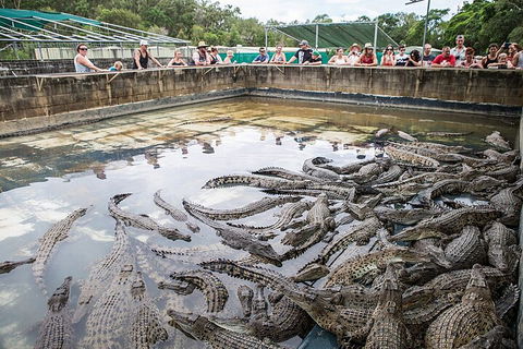 Hartley's Crocodile Adventures Day Trip From Cairns - Northern Rivers Accommodation 0