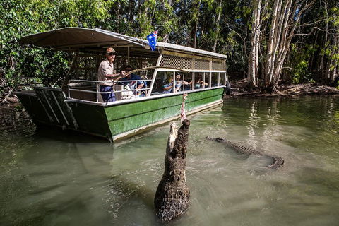 Hartley's Crocodile Adventures Day Trip From Cairns - Northern Rivers Accommodation 2