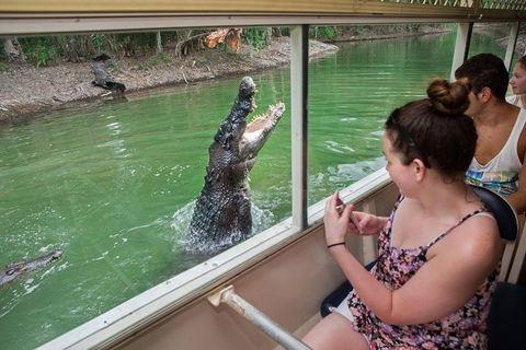 Hartley's Crocodile Adventures Day Trip From Cairns - Northern Rivers Accommodation 3