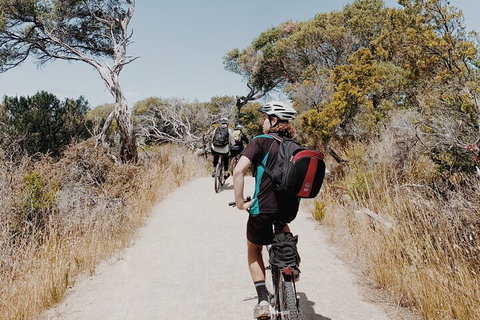 Self-Guided Point Nepean National Park Bike Hire - Northern Rivers Accommodation 0