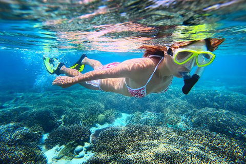 Abrolhos Islands Scenic Flight & Snorkel Adventure From Perth - Northern Rivers Accommodation 1