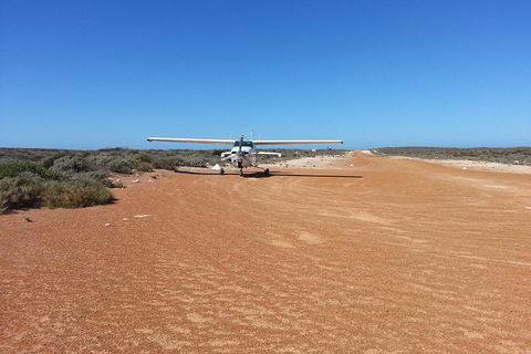 Abrolhos Islands Scenic Flight & Snorkel Adventure From Perth - Northern Rivers Accommodation 3