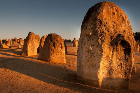 Wave Rock And Pinnacles Air & Ground Tour - Northern Rivers Accommodation 1
