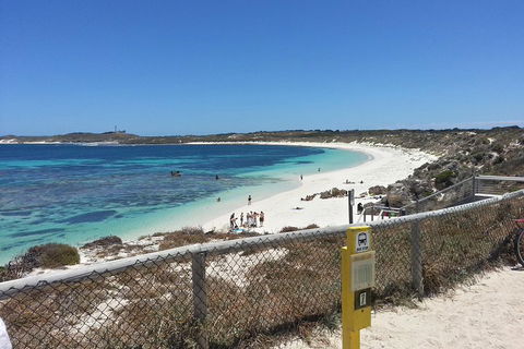 Wave Rock, Pinnacles And Rottnest One Day Aeroplane Tour - Northern Rivers Accommodation 2