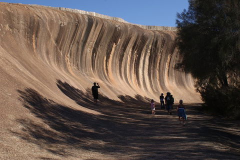 Wave Rock, Pinnacles And Rottnest One Day Aeroplane Tour - Northern Rivers Accommodation 4