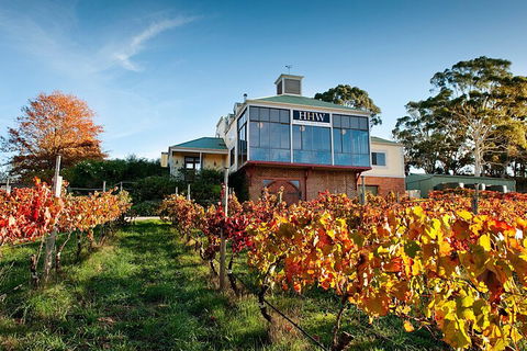Adelaide Hills Food, Wine, Cheese, & Chocolate - Private Day Tour - Northern Rivers Accommodation 3