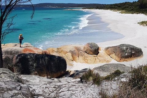 2-Day Tas East Coast Escape Tour Including Bay Of Fires, Wineglass Bay & Devils - Northern Rivers Accommodation 4