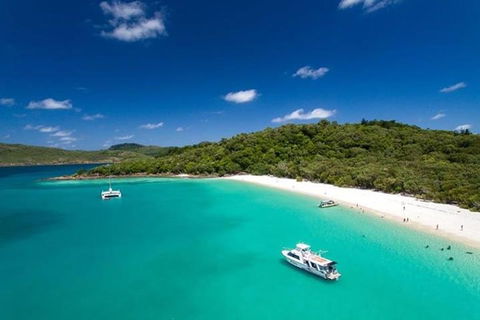 Whitehaven Beach And Hill Inlet | Awesome Beach BBQ | Family Friendly - Northern Rivers Accommodation 3