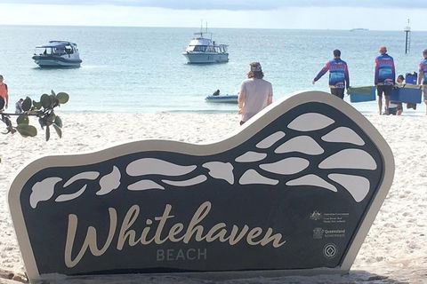 Whitehaven Beach And Hill Inlet | Awesome Beach BBQ | Family Friendly - Northern Rivers Accommodation 5