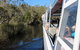 Serenity Cruise To Australia's Everglades - thumb 2