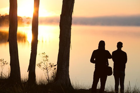 Serenity Cruise To Australia's Everglades - Northern Rivers Accommodation 5