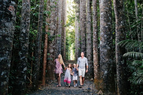 The Original Day Tour To Paronella Park, Lake Barrine And Millaa Millaa Falls - Northern Rivers Accommodation 1