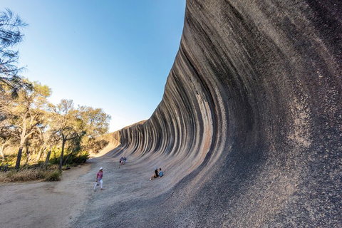 Full-Day Wave Rock & Historic York - Northern Rivers Accommodation 0