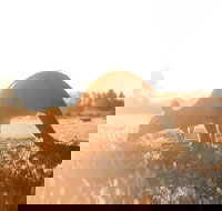 Small Group - 12 Apostles Otways  Great Ocean Road Day Tour from Melbourne - Northern Rivers Accommodation