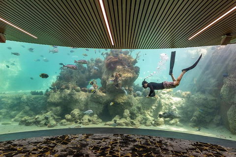 Whitehaven Beach And Daydream Island Cruise - Northern Rivers Accommodation 4