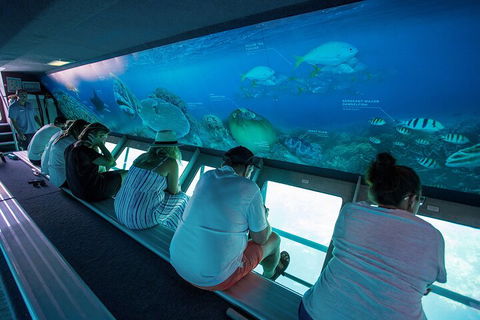 Great Barrier Reef Day Cruise To Reefworld - Northern Rivers Accommodation 0