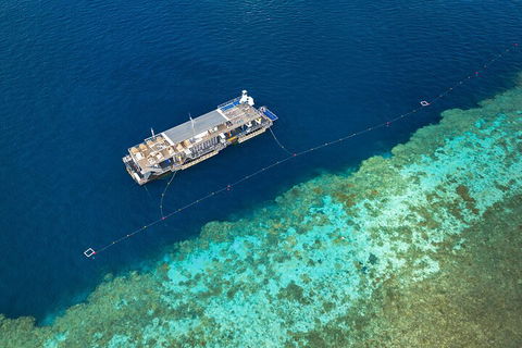 Great Barrier Reef Day Cruise To Reefworld - Northern Rivers Accommodation 2