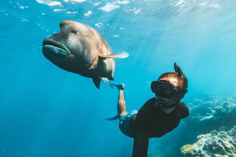 Great Barrier Reef Day Cruise To Reefworld - Northern Rivers Accommodation 3