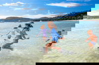 Book Viator Accommodation Vacations Northern Rivers Accommodation Northern Rivers Accommodation