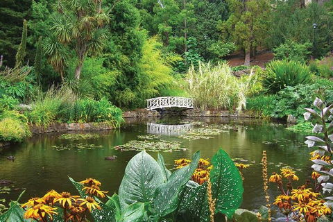 Hobart Half-Day Sightseeing Coach Tram Tour - Northern Rivers Accommodation 0