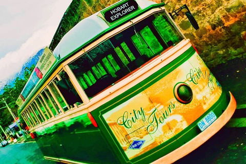 Hobart Half-Day Sightseeing Coach Tram Tour - Northern Rivers Accommodation 5