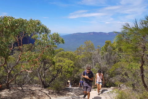 Blue Mountains Unique Small-Group Day Adventure With BBQ Lunch - Northern Rivers Accommodation 3