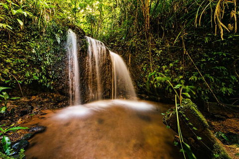 Paronella Park Admission Ticket - Northern Rivers Accommodation 5